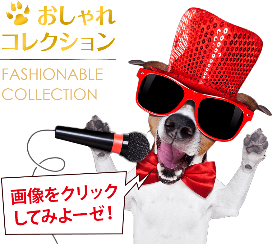 おしゃれコレクション